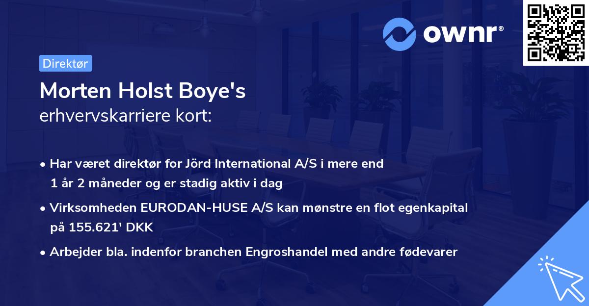 Morten Holst Boye's erhvervskarriere kort