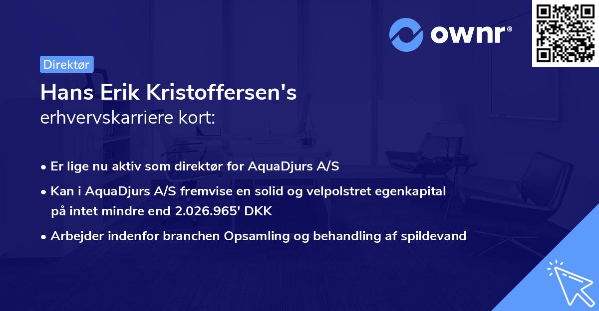 Hans Erik Kristoffersen's erhvervskarriere kort