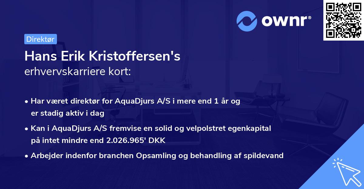 Hans Erik Kristoffersen's erhvervskarriere kort