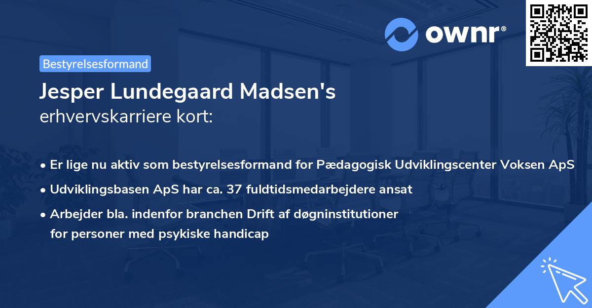Jesper Lundegaard Madsen's erhvervskarriere kort