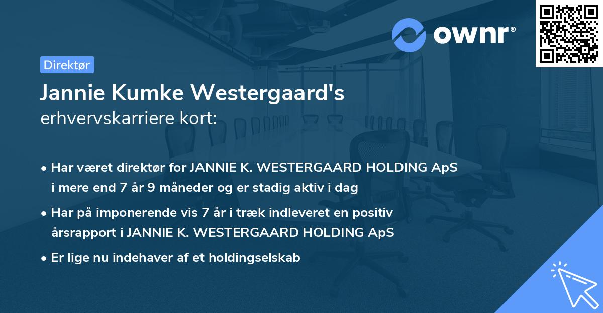 Jannie Kumke Westergaard's erhvervskarriere kort