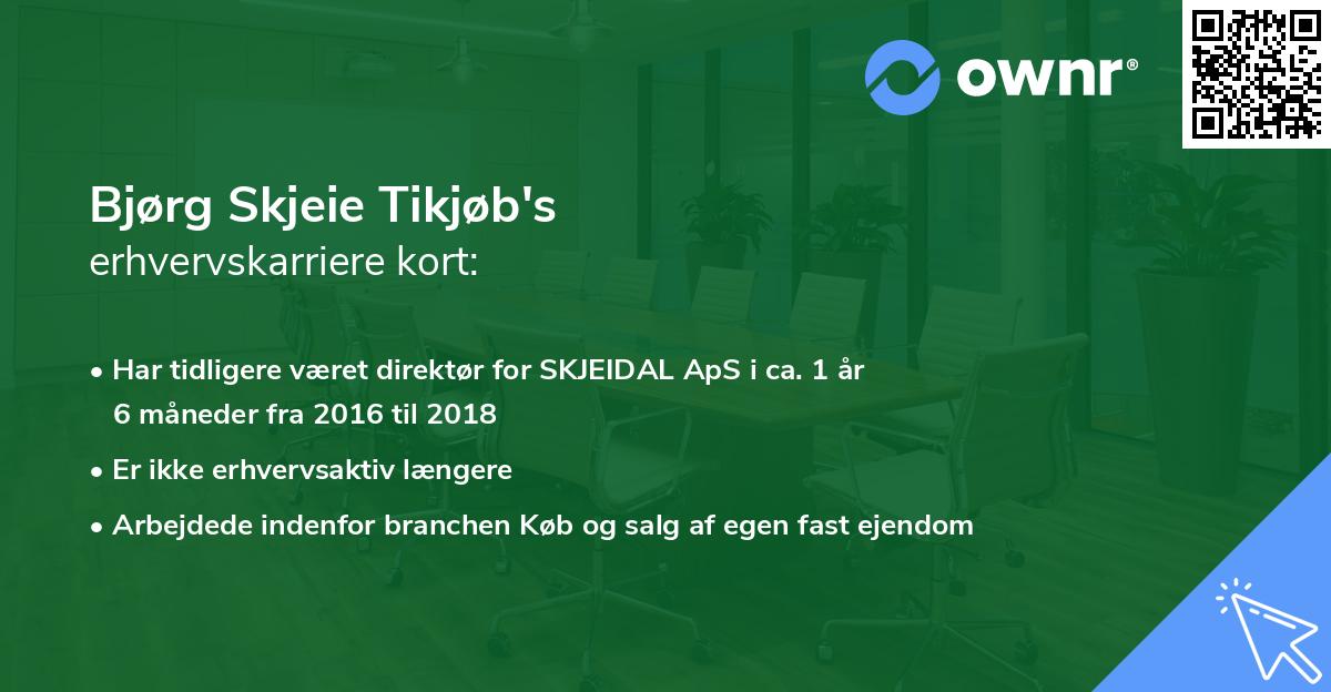 Bjørg Skjeie Tikjøb's erhvervskarriere kort