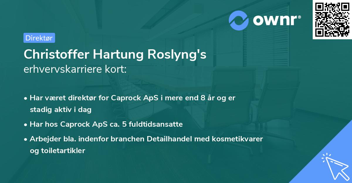 Christoffer Hartung Roslyng's erhvervskarriere kort