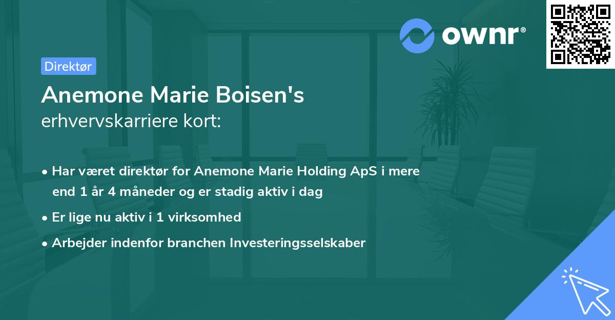 Anemone Marie Boisen's erhvervskarriere kort