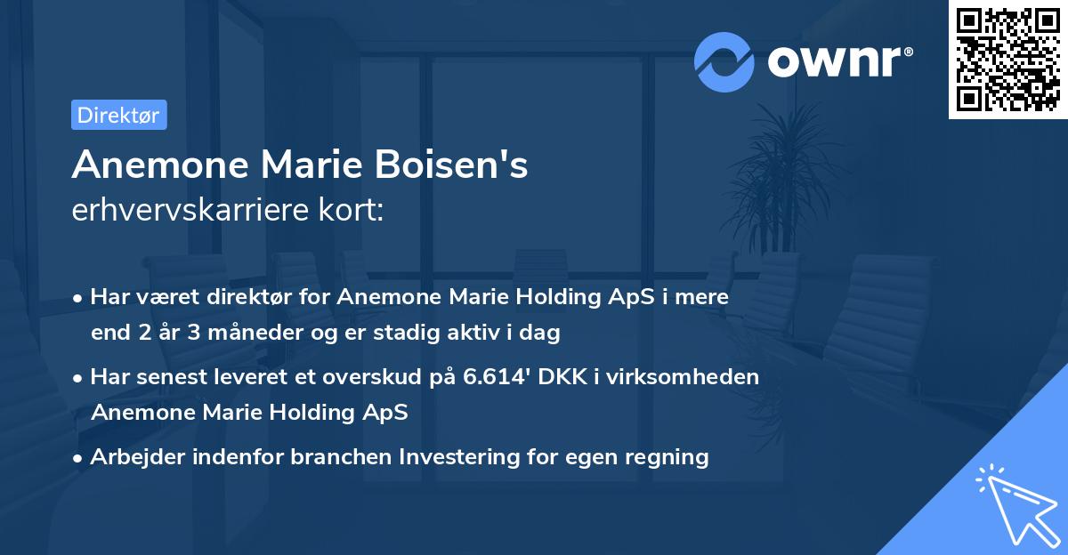 Anemone Marie Boisen's erhvervskarriere kort