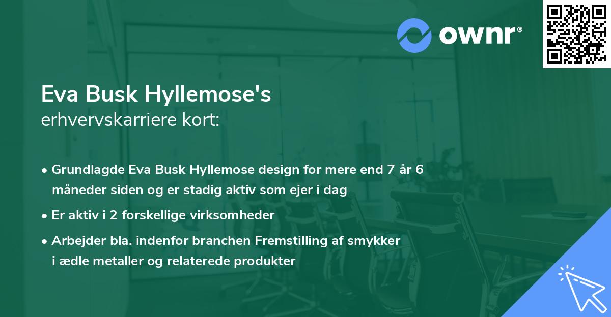 Eva Busk Hyllemose's erhvervskarriere kort