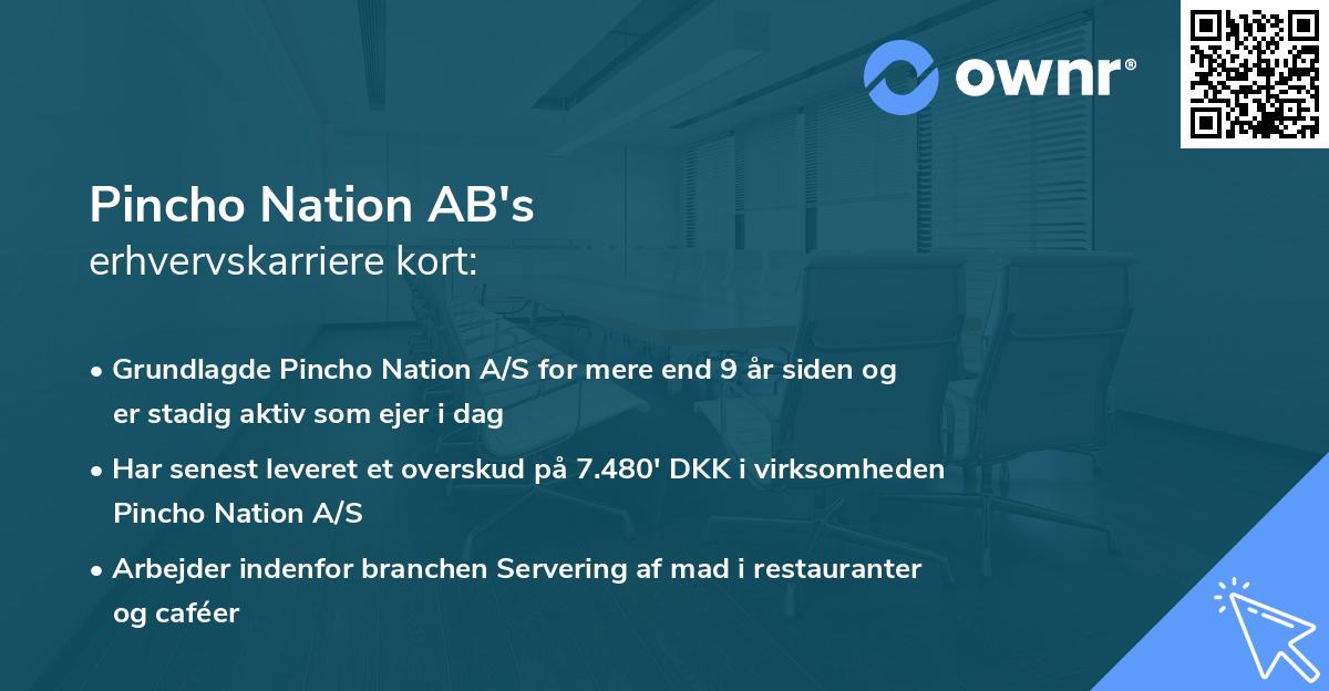 Pincho Nation AB's erhvervskarriere kort