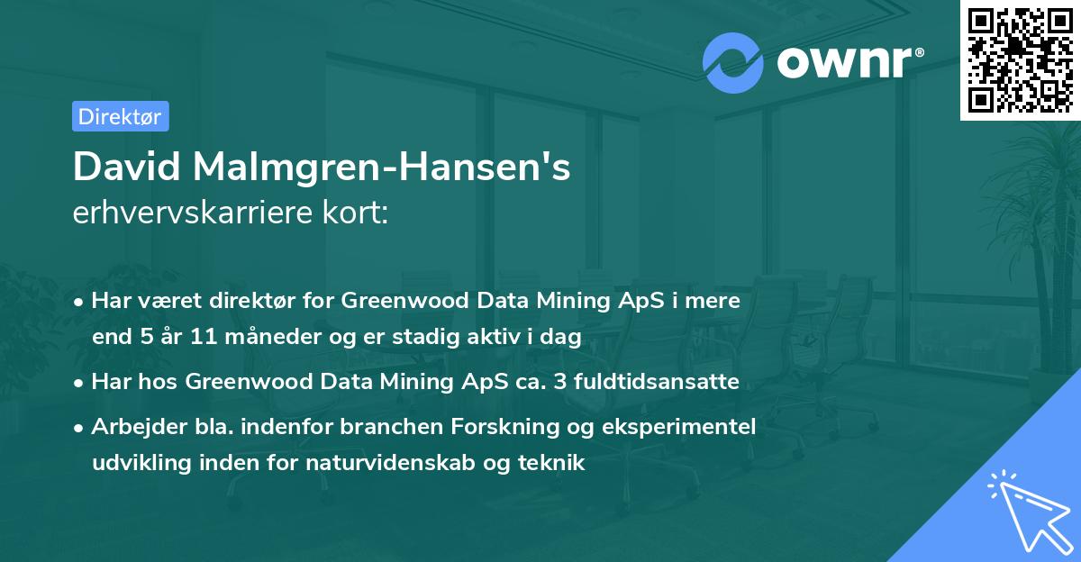 David Malmgren-Hansen's erhvervskarriere kort