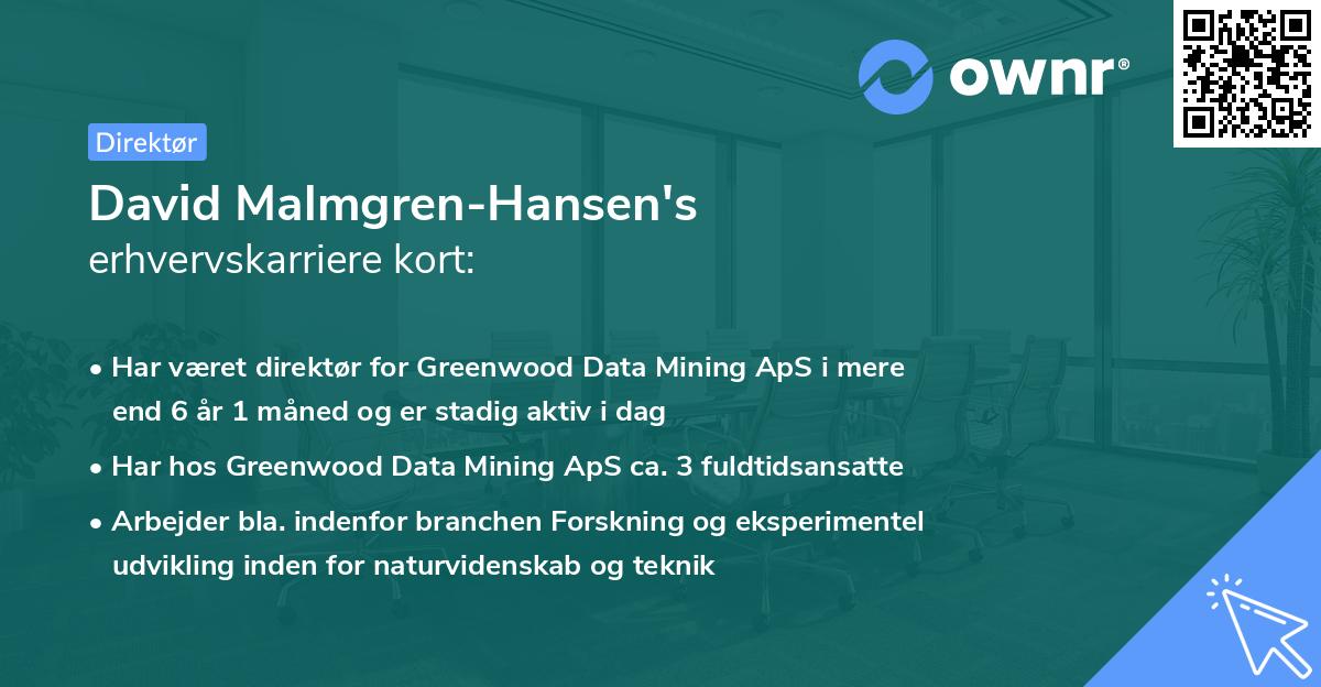 David Malmgren-Hansen's erhvervskarriere kort