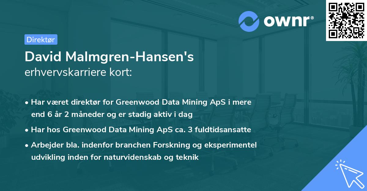 David Malmgren-Hansen's erhvervskarriere kort
