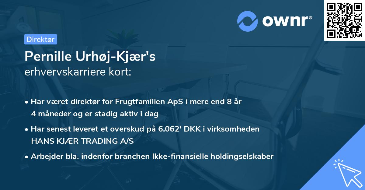 Pernille Urhøj-Kjær's erhvervskarriere kort