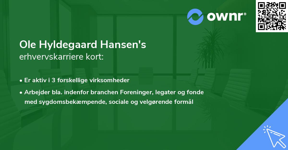 Ole Hyldegaard Hansen's erhvervskarriere kort