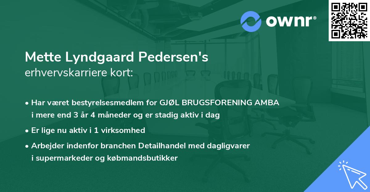 Mette Lyndgaard Pedersen's erhvervskarriere kort