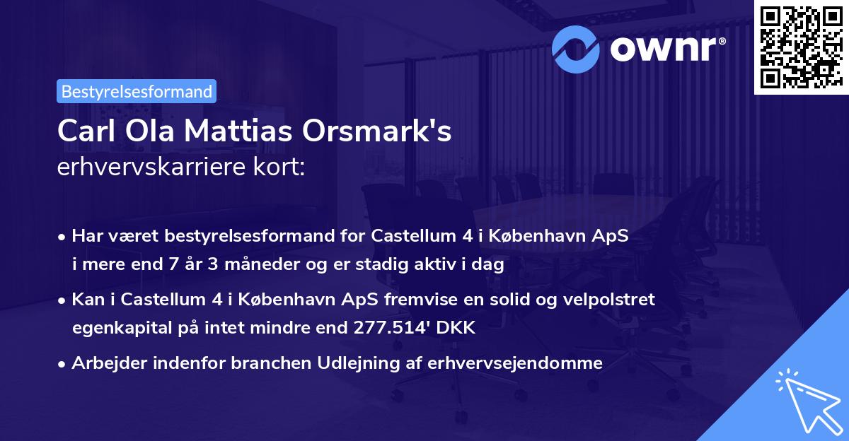 Carl Ola Mattias Orsmark's erhvervskarriere kort