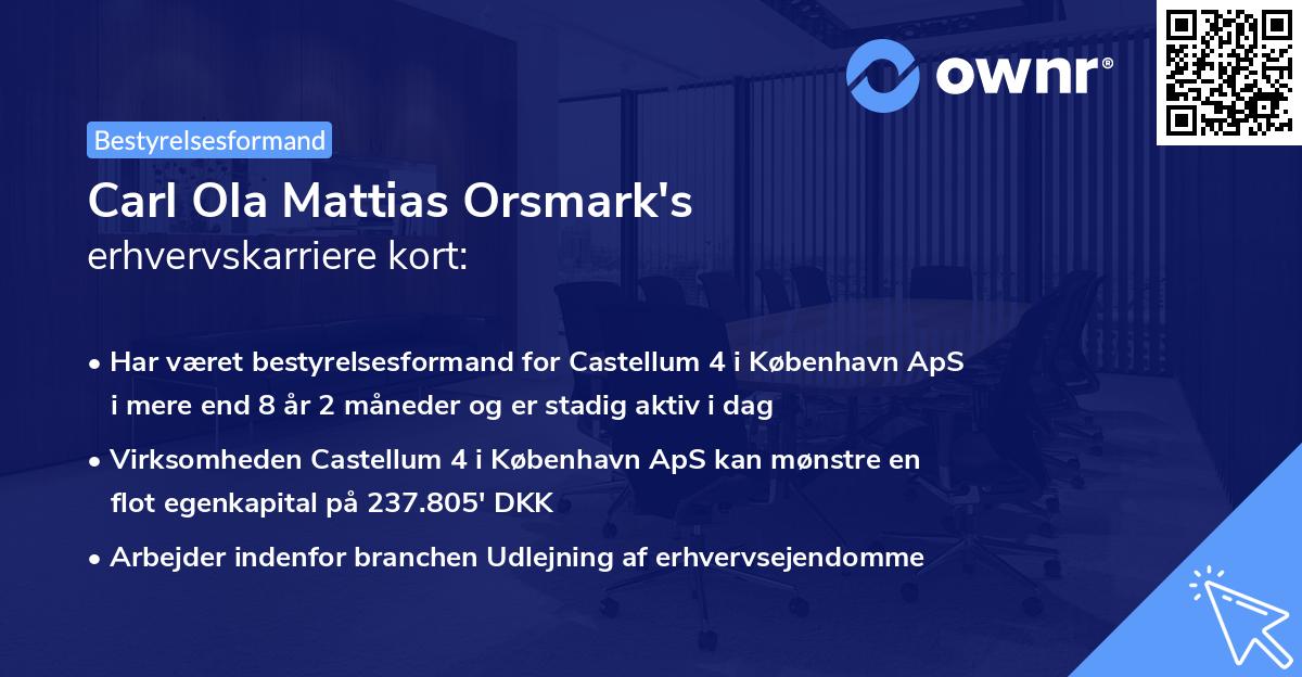 Carl Ola Mattias Orsmark's erhvervskarriere kort
