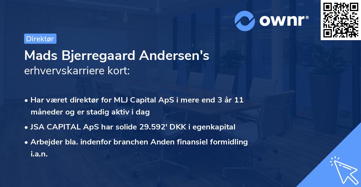 Mads Bjerregaard Andersen's erhvervskarriere kort
