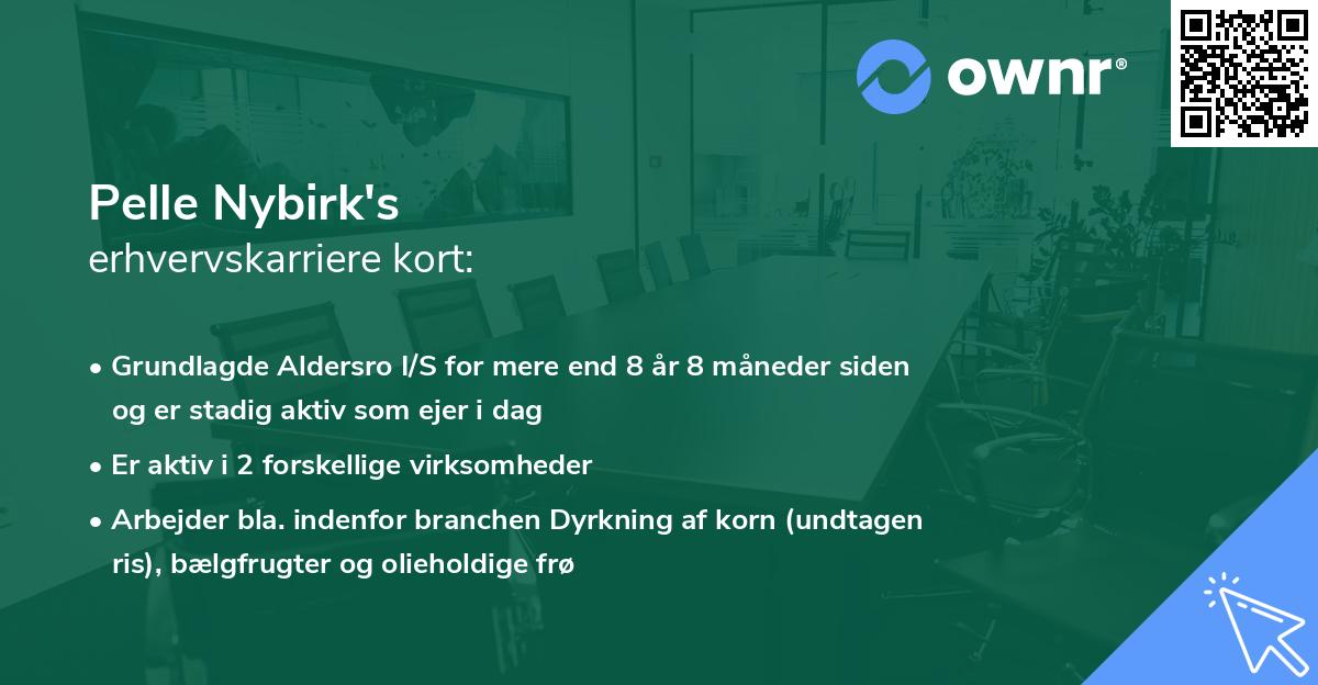 Pelle Nybirk's erhvervskarriere kort