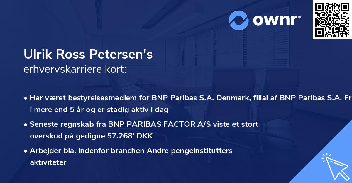 Ulrik Ross Petersen's erhvervskarriere kort
