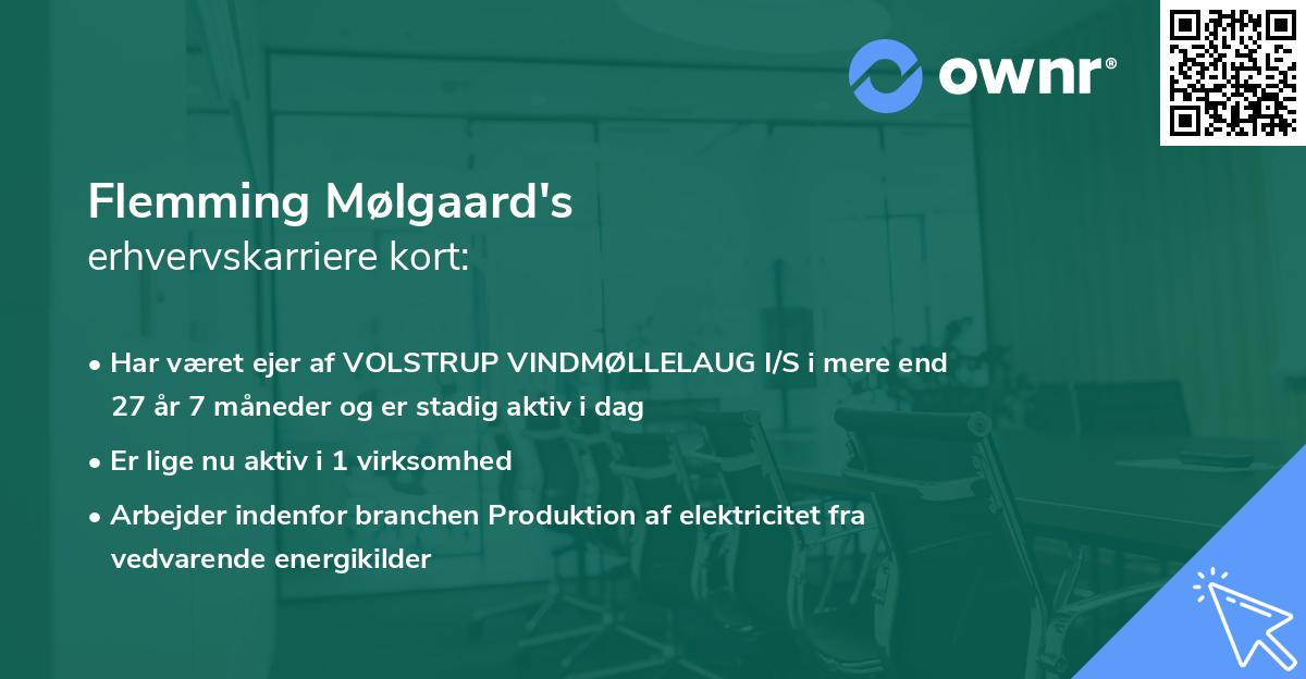 Flemming Mølgaard's erhvervskarriere kort