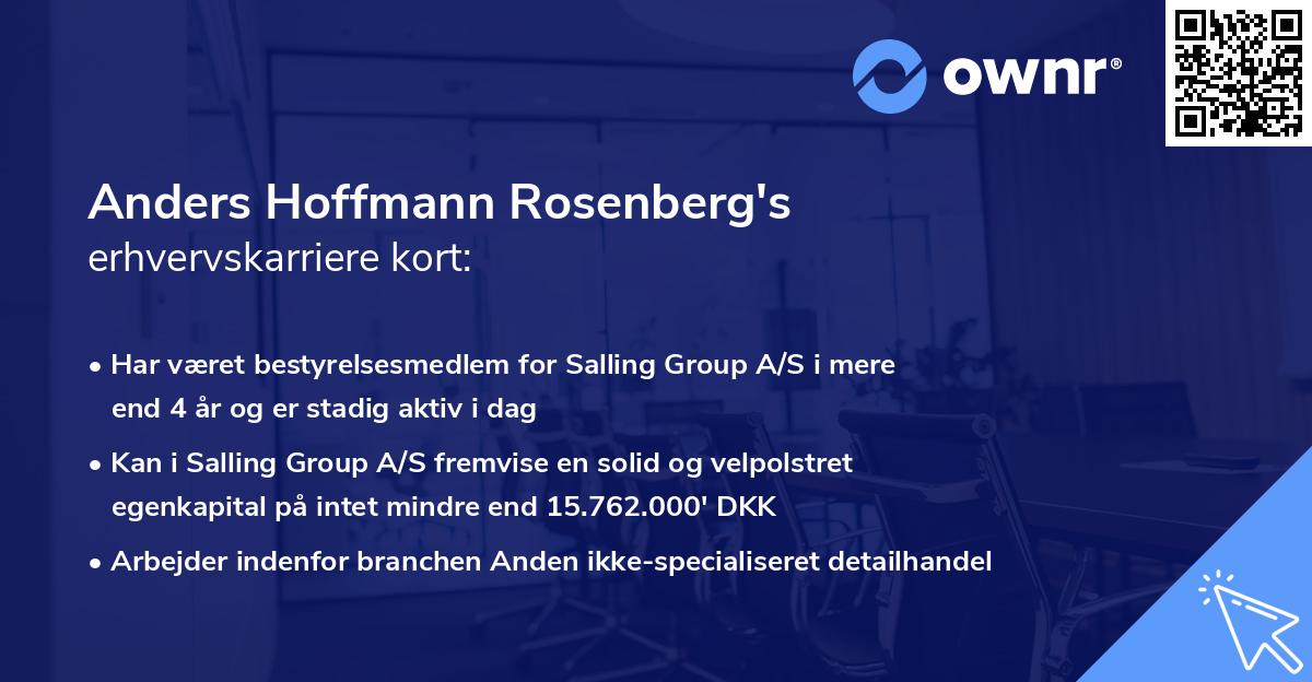Anders Hoffmann Rosenberg's erhvervskarriere kort