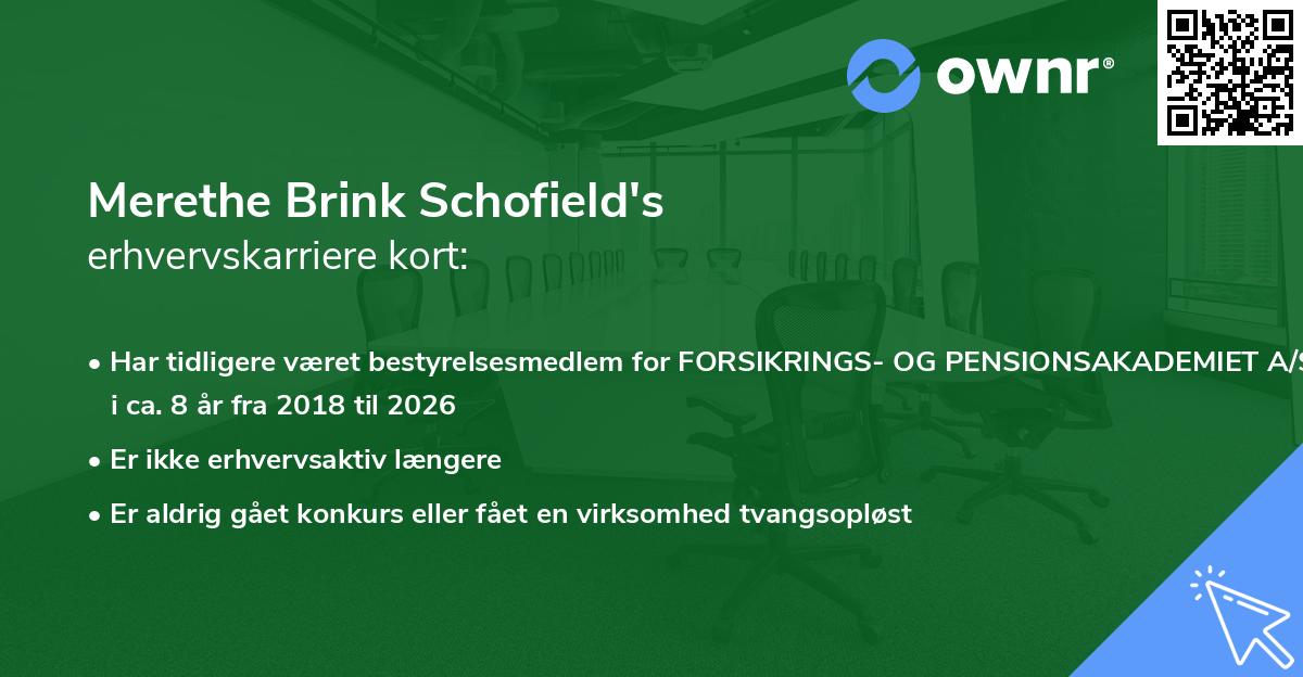 Merethe Brink Schofield's erhvervskarriere kort