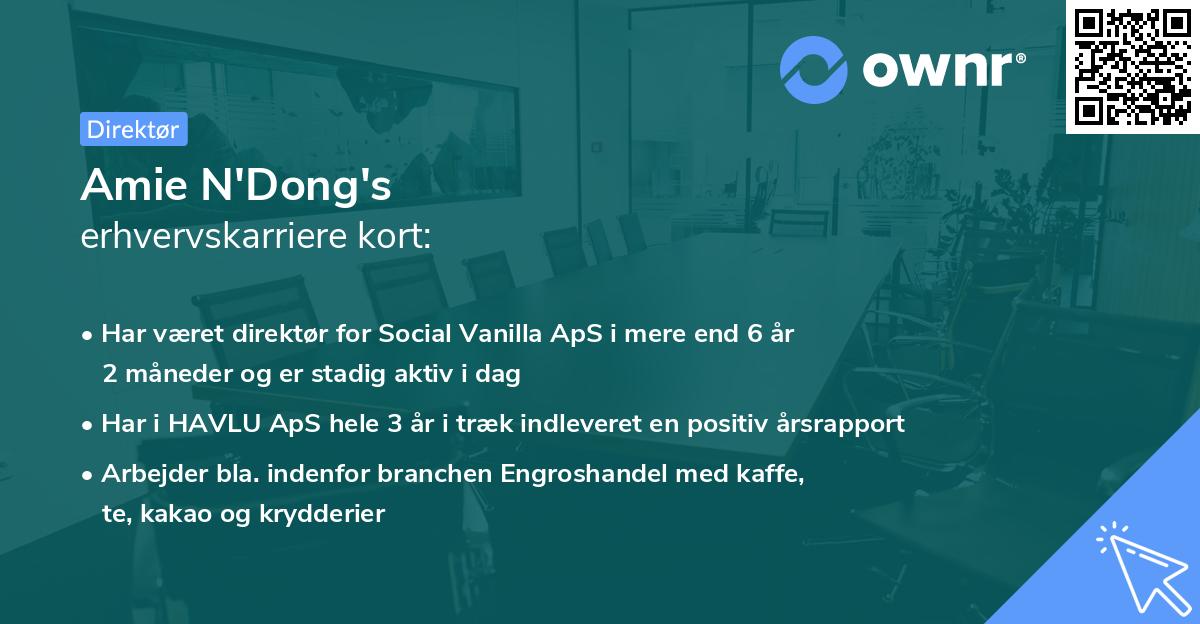 Amie N'Dong's erhvervskarriere kort