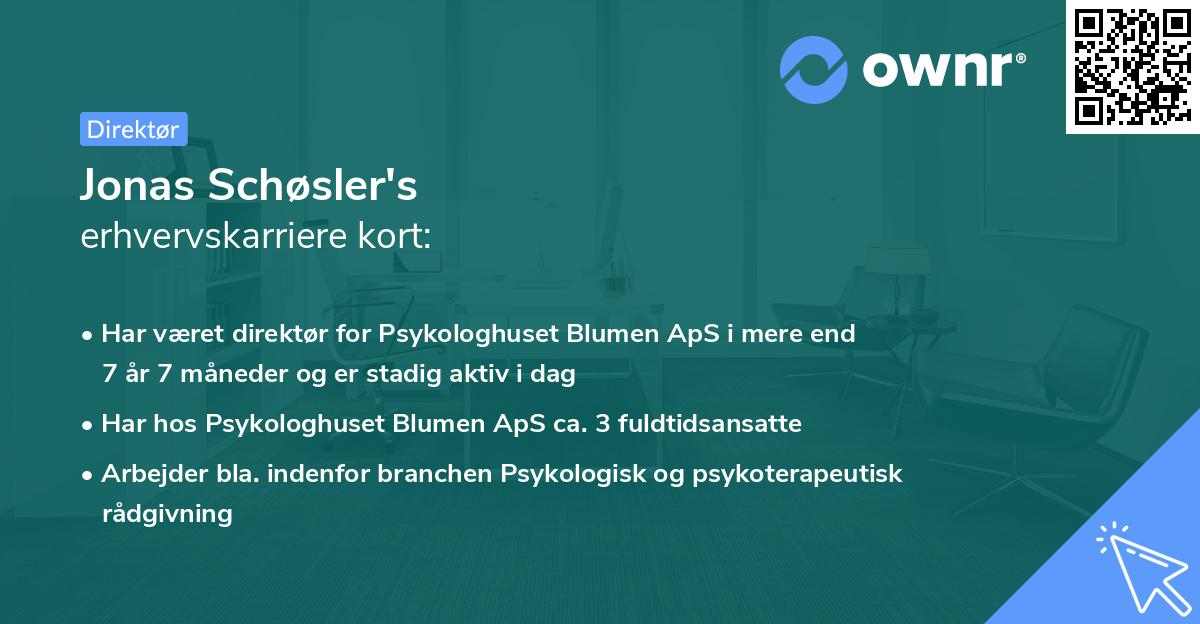 Jonas Schøsler's erhvervskarriere kort