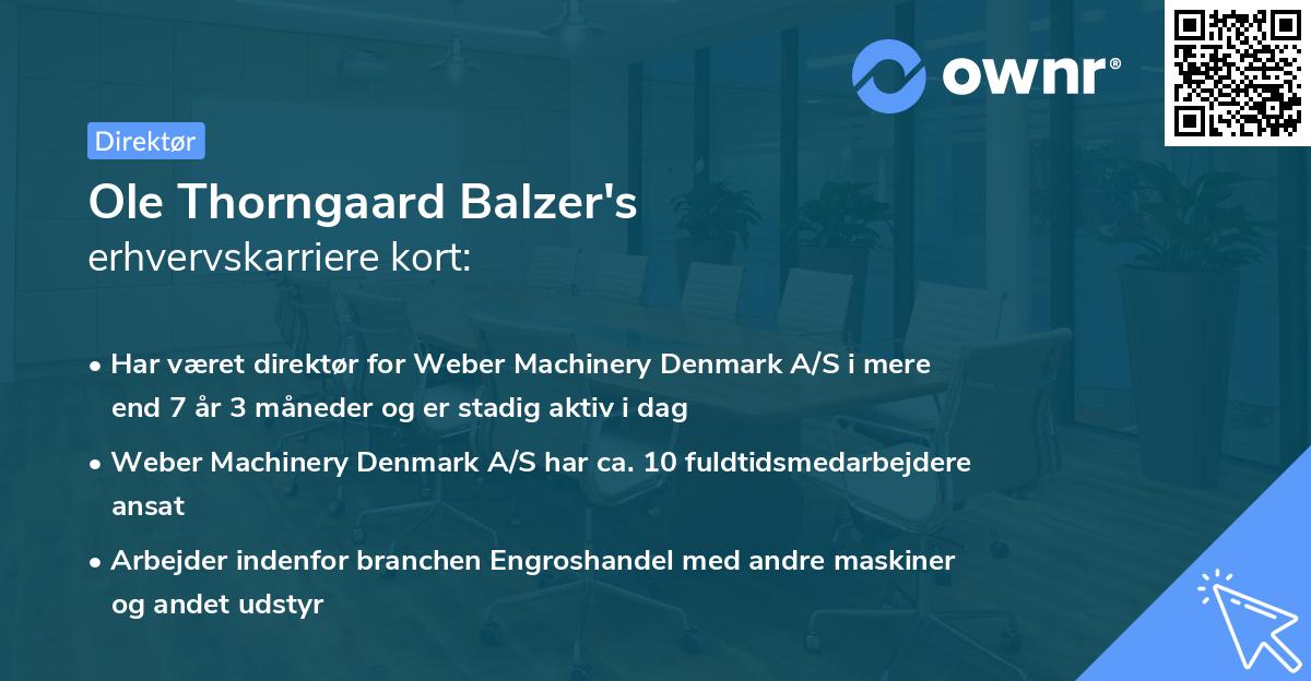 Ole Thorngaard Balzer's erhvervskarriere kort