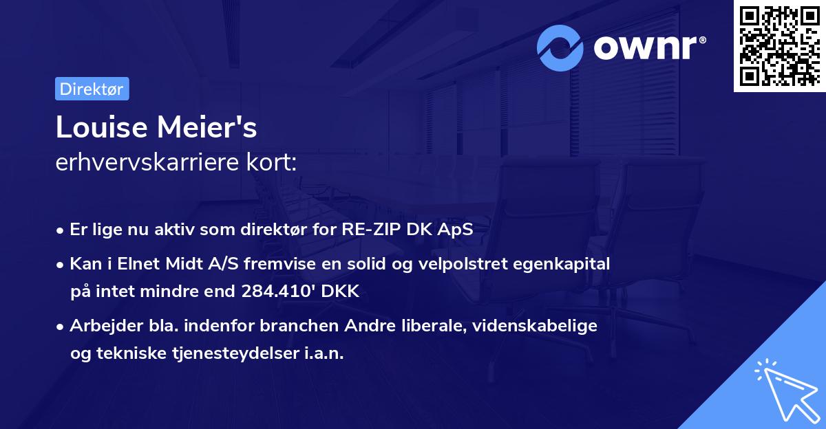 Louise Meier's erhvervskarriere kort