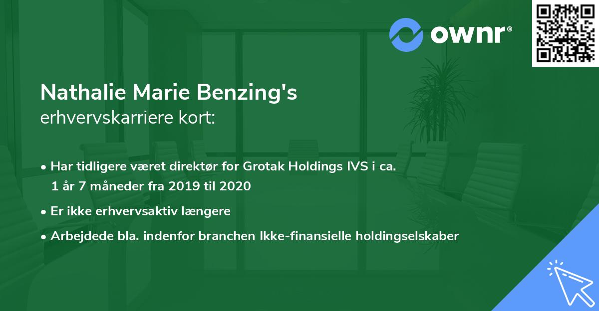 Nathalie Marie Benzing's erhvervskarriere kort