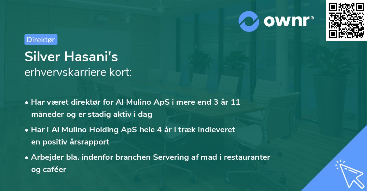 Silver Hasani's erhvervskarriere kort