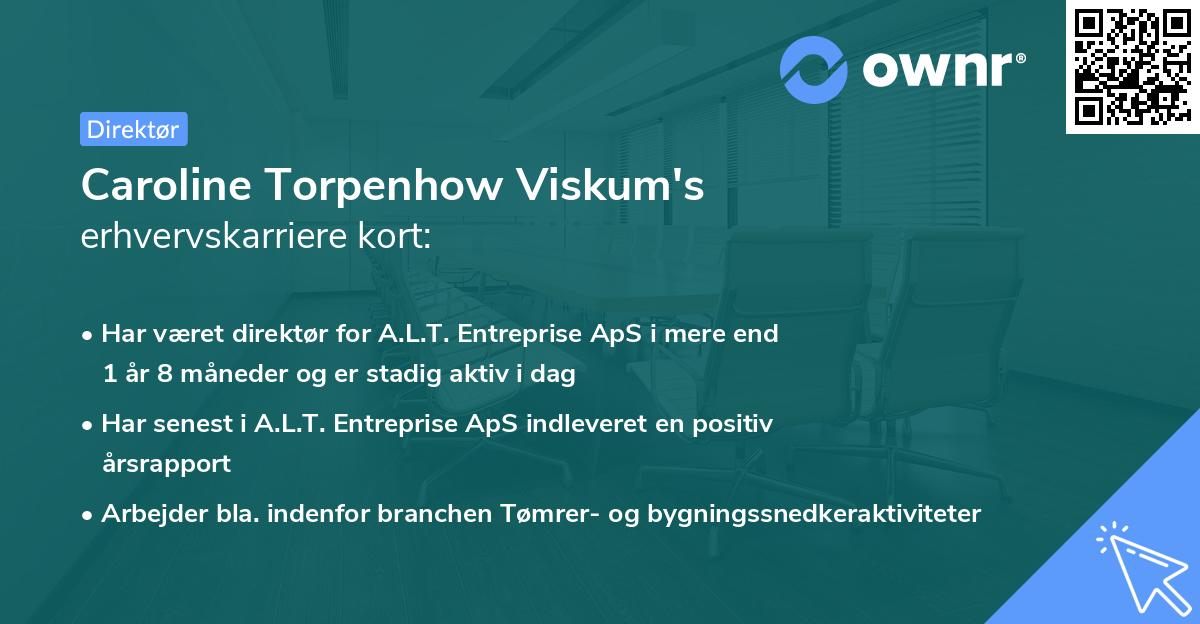 Caroline Torpenhow Viskum's erhvervskarriere kort