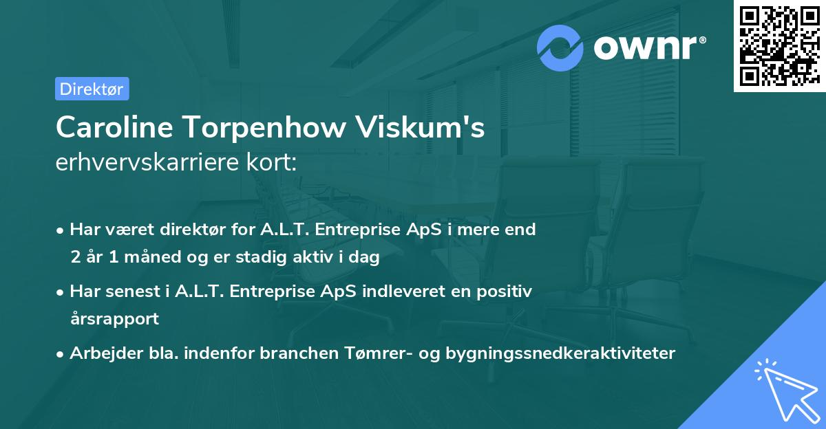 Caroline Torpenhow Viskum's erhvervskarriere kort