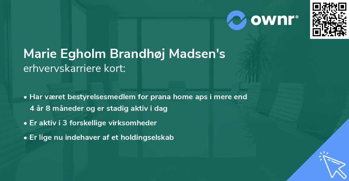 Marie Egholm Brandhøj Madsen's erhvervskarriere kort