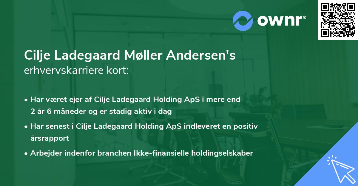 Cilje Ladegaard Møller Andersen's erhvervskarriere kort