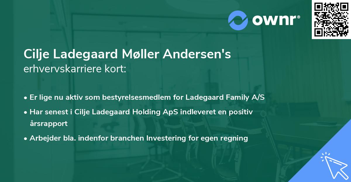 Cilje Ladegaard Møller Andersen's erhvervskarriere kort