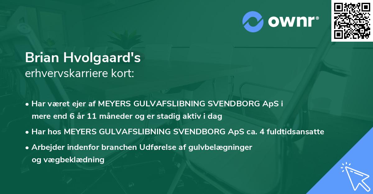 Brian Hvolgaard's erhvervskarriere kort