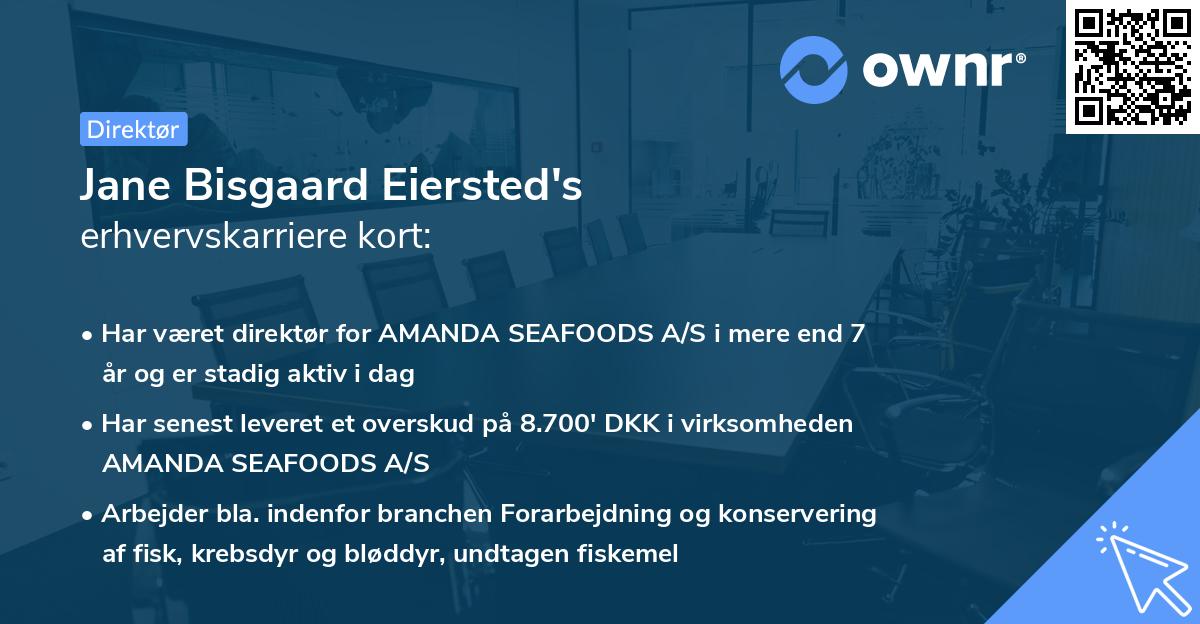 Jane Bisgaard Eiersted's erhvervskarriere kort