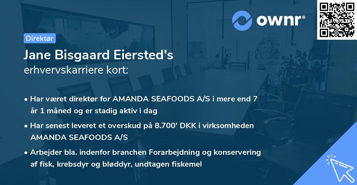 Jane Bisgaard Eiersted's erhvervskarriere kort