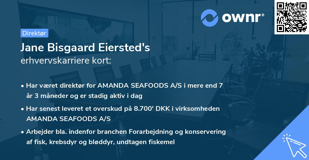 Jane Bisgaard Eiersted's erhvervskarriere kort