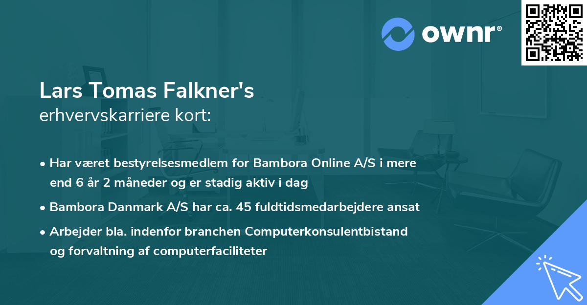 Lars Tomas Falkner's erhvervskarriere kort