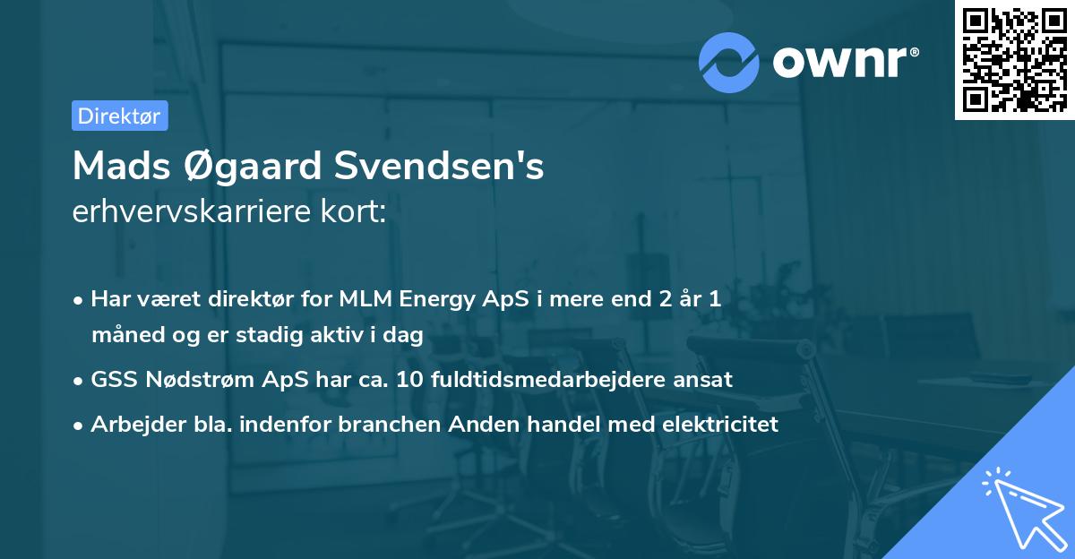 Mads Øgaard Svendsen's erhvervskarriere kort