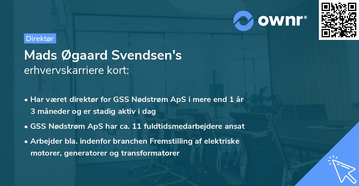 Mads Øgaard Svendsen's erhvervskarriere kort