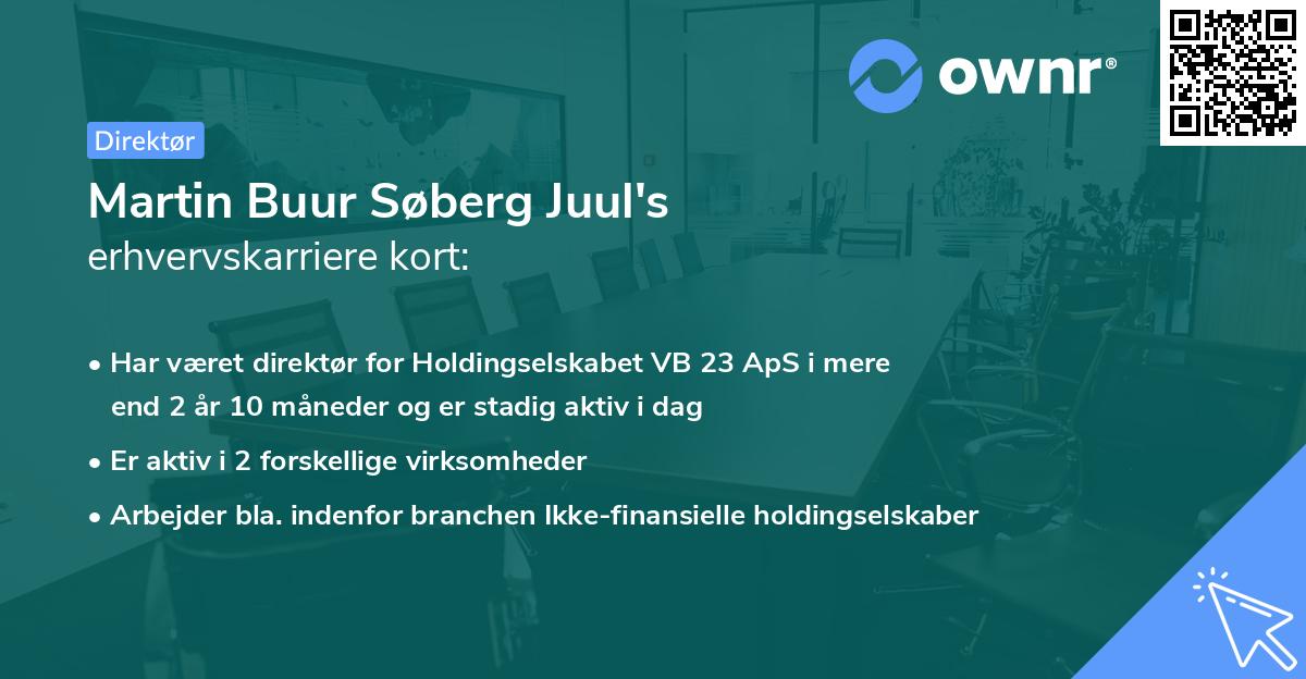 Martin Buur Søberg Juul's erhvervskarriere kort