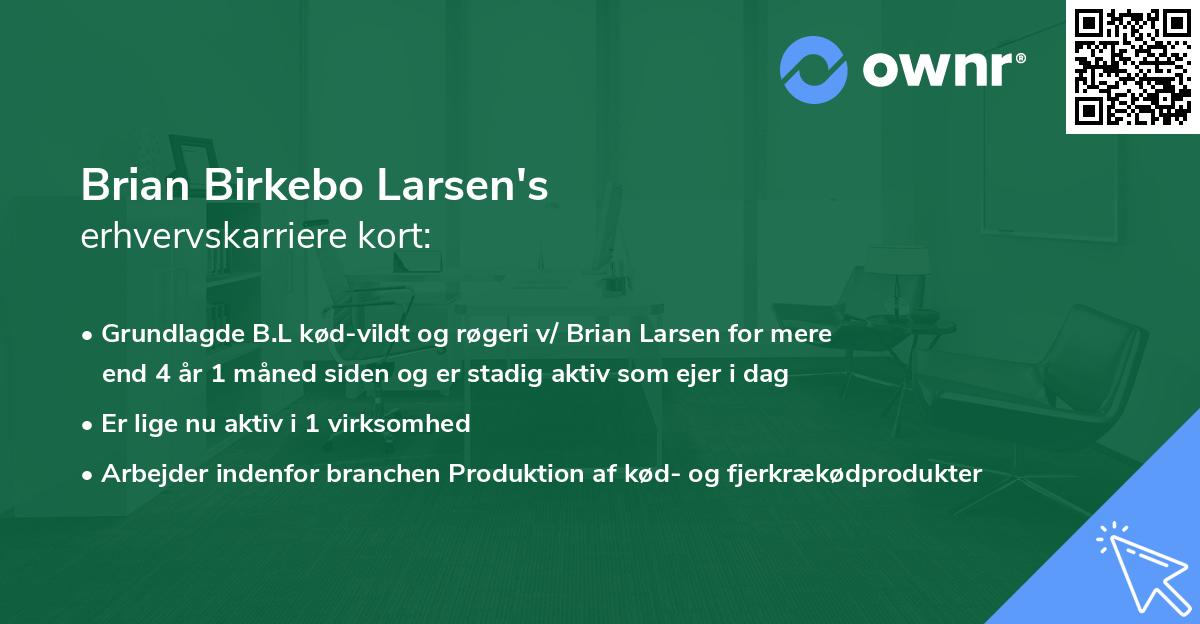 Brian Birkebo Larsen's erhvervskarriere kort