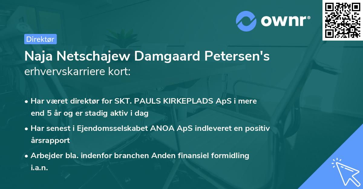 Naja Netschajew Damgaard Petersen's erhvervskarriere kort