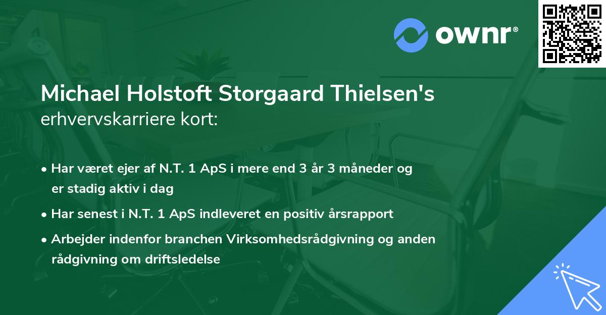 Michael Holstoft Storgaard Thielsen's erhvervskarriere kort