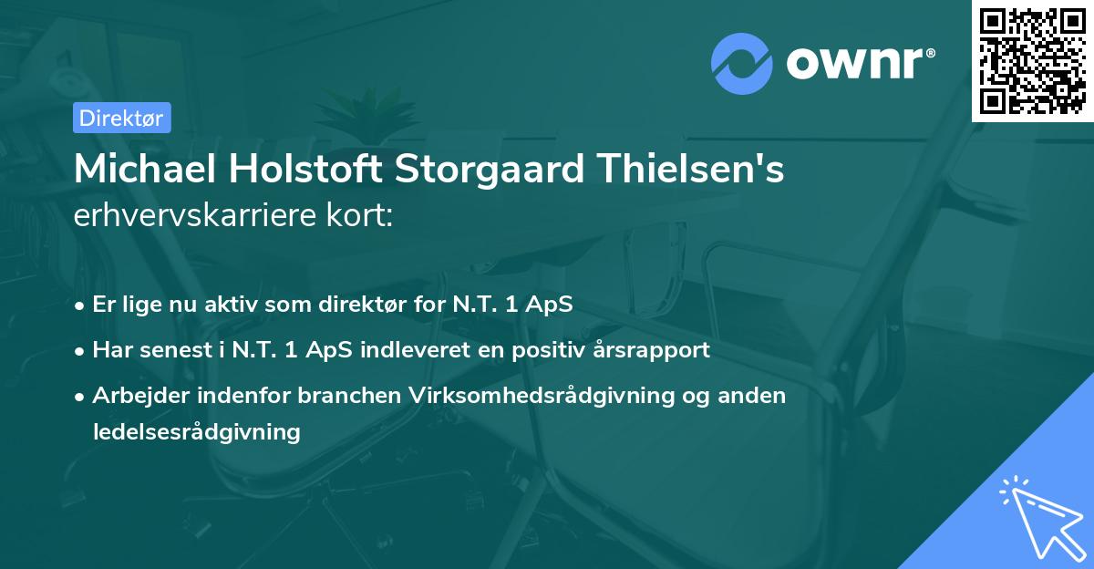 Michael Holstoft Storgaard Thielsen's erhvervskarriere kort