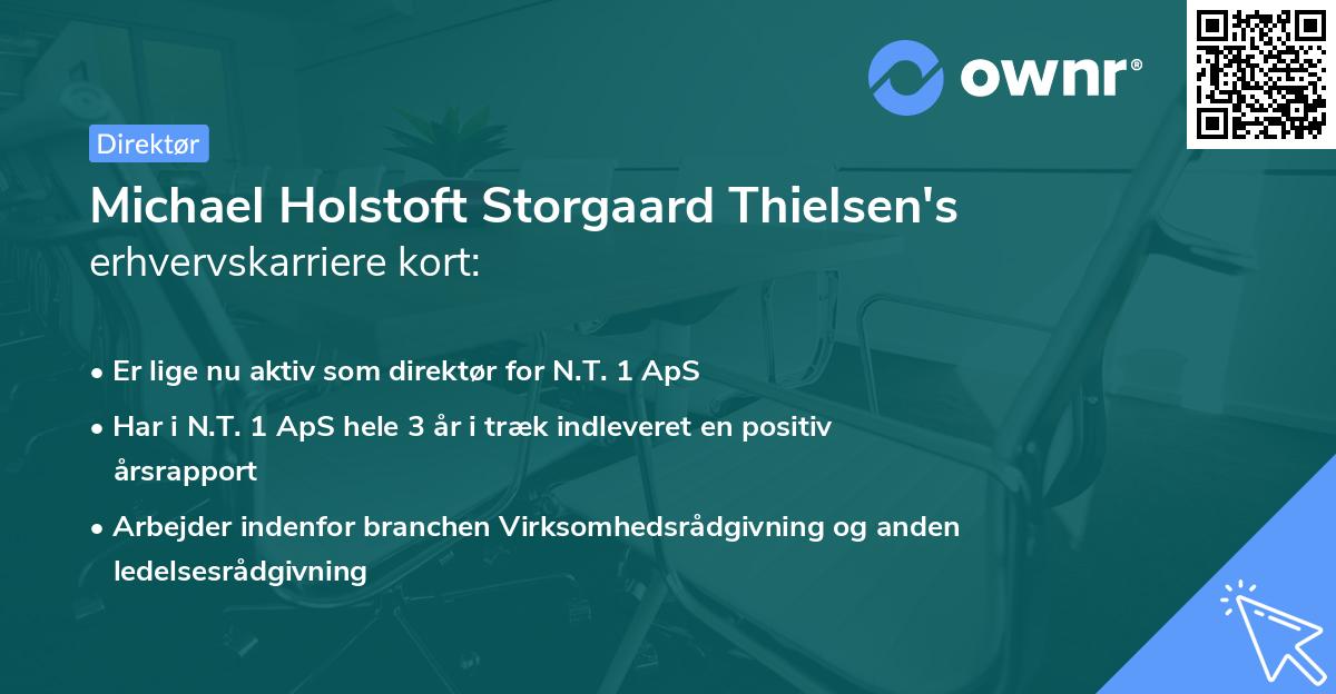 Michael Holstoft Storgaard Thielsen's erhvervskarriere kort