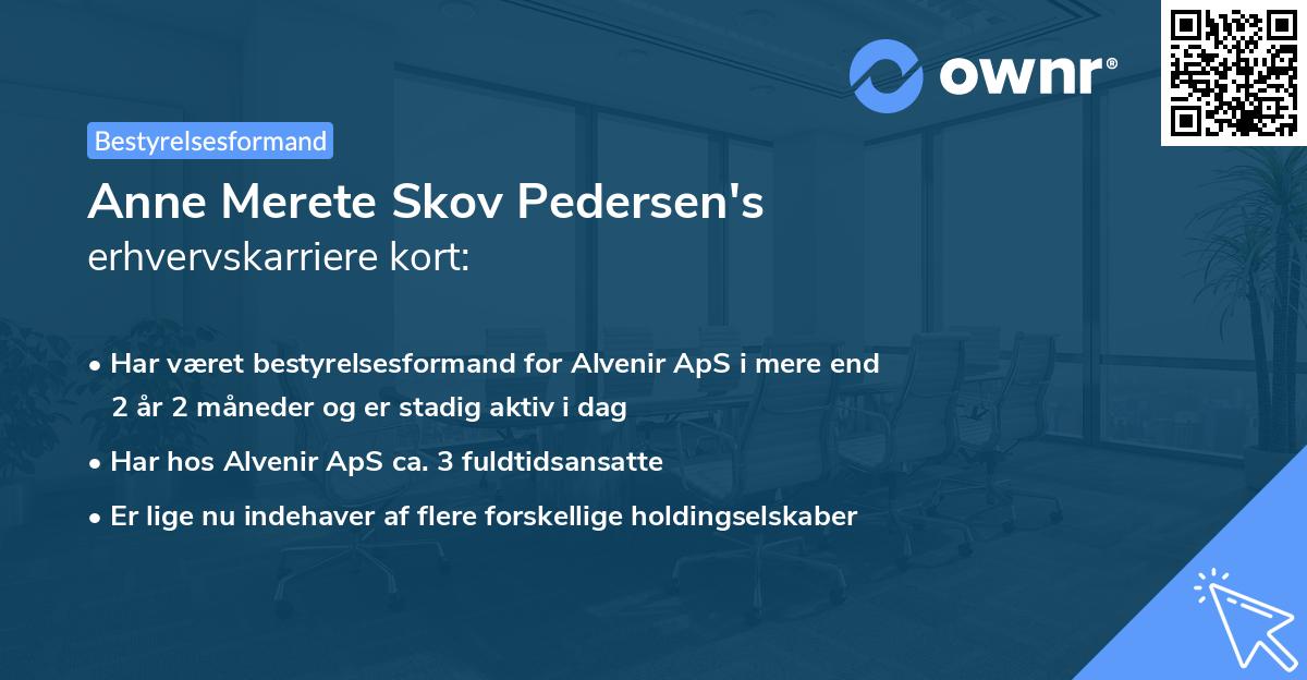 Anne Merete Skov Pedersen's erhvervskarriere kort